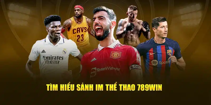 Tìm hiểu sảnh IM thể thao 789win