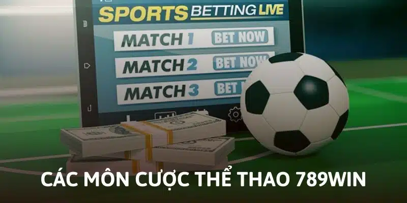 Các môn cược thể thao tại nhà cái 789win